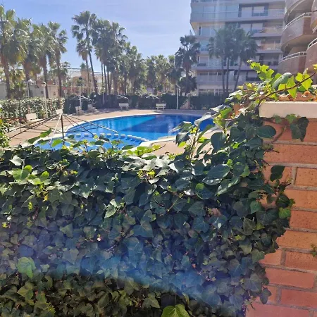 Acapulco I 8 Puerta 210 Daire